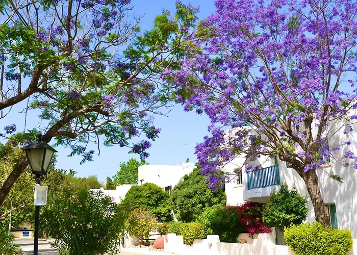 Paphos Gardens Holiday Resort